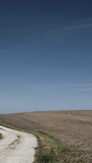 营销型网站建设的公司截图2