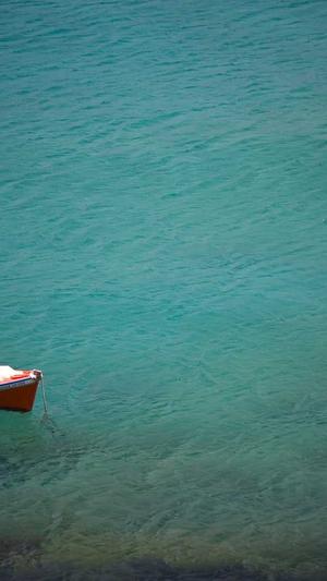 SEO工具下载截图5