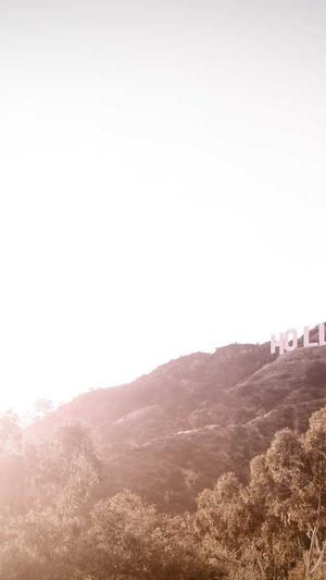 闵行网站建设公司截图4