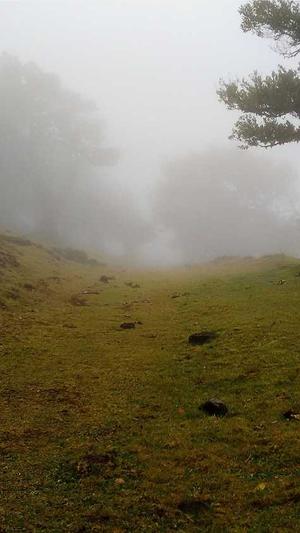 买个蜘蛛池多少钱啊截图1