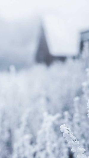 个人 网站建设截图5