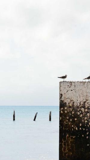 长沙的网站建设截图5