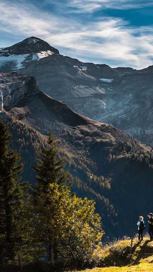 本地的上海网站建设公司截图4