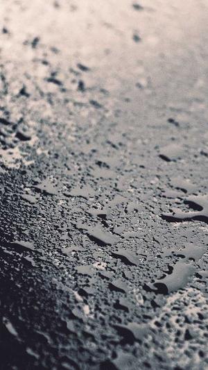 蜘蛛池工具全向zjkwlgs截图4