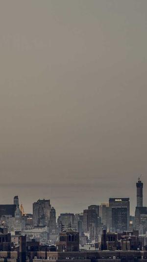 佛山网站seo截图1