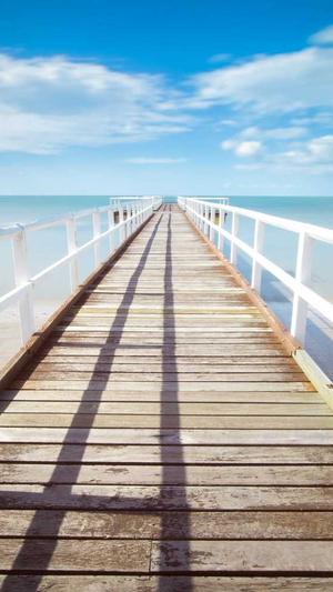 seo蜘蛛工具截图1