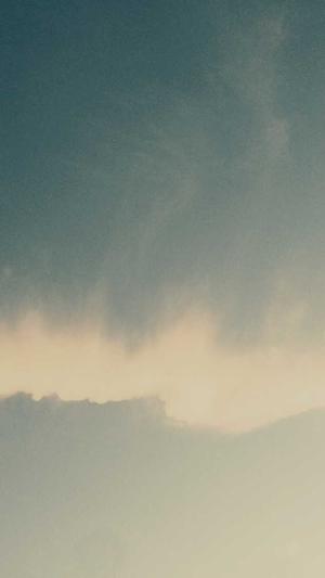 网站收录不好买蜘蛛池截图4