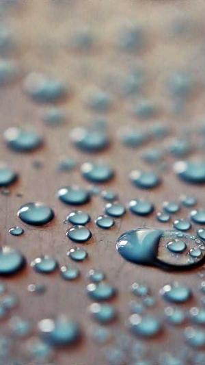 新款蜘蛛池模板截图1