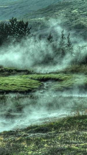 seo快速优化截图2