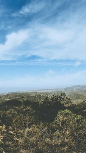 渭南网站建设截图3