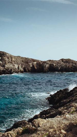 蜘蛛池哪里租的效果好截图1