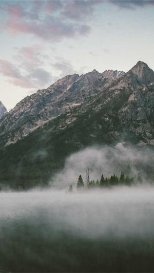 深圳手机网站建设截图2