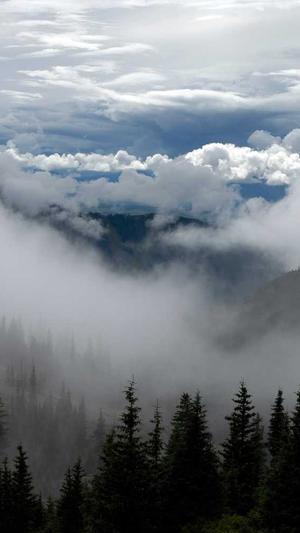 天天seo伪原创工具截图3