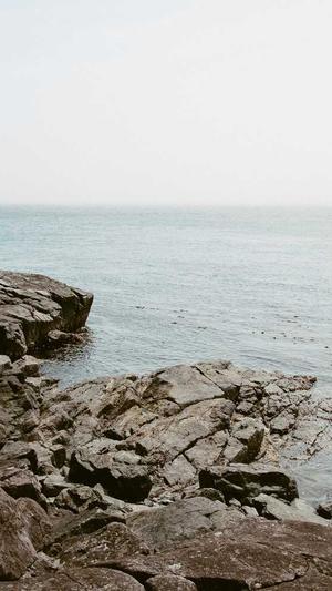 门户网站网站建设截图2