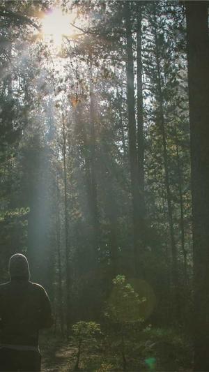 百度推广软件蜘蛛池截图3